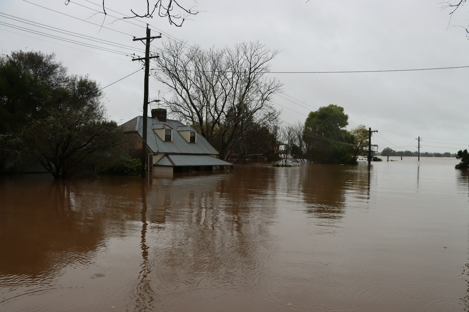 Floodwater surrounding a home and trees