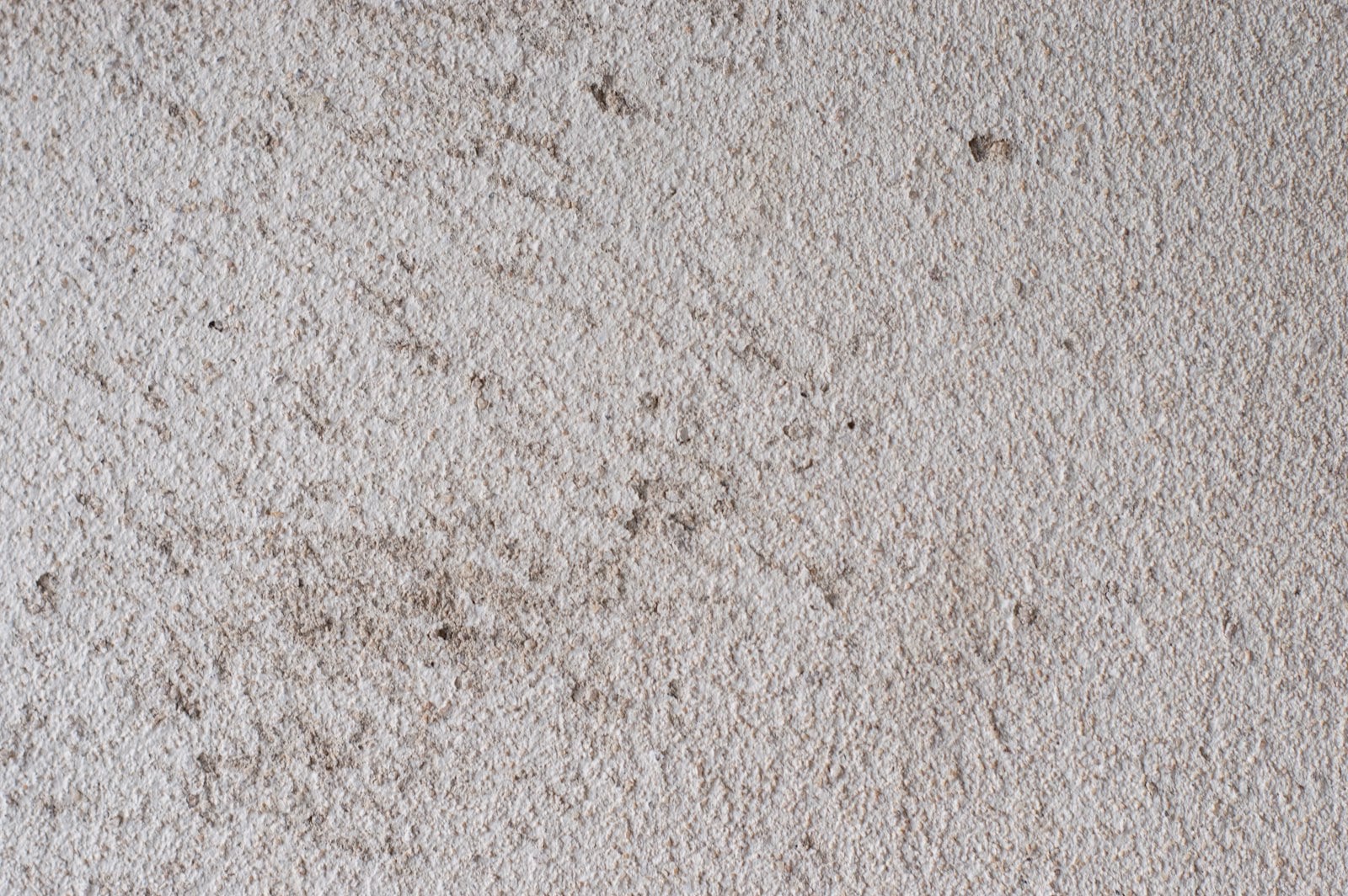 Brown stains on a light carpet
